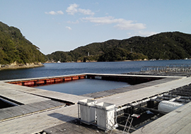 迫間 浦 釣り堀 センター