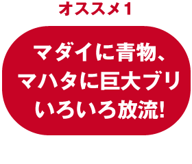 入ればとってもお得な、はさま浦倶楽部！入会金500円