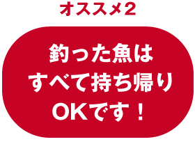 釣った魚はすべて持ち帰りOKです！