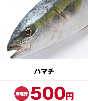 ハマチ調理費500円