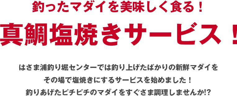 釣ったマダイを美味しく食る！真鯛塩焼きサービス!はさま浦釣り堀センターでは釣り上げたばかりの新鮮マダイをその場で塩焼きにするサービスを始めました！釣りあげたピチピチのマダイをすぐさま調理しませんか!?