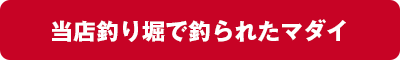 当店釣り堀で釣られたマダイ